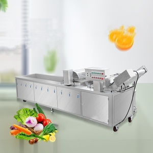 Lavadora de frutas y verduras con burbujas de ciclo de ozono a gran escala con componente central del motor - Product Image 1