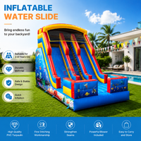 Toboggan aquatique gonflable en PVC sur le thème de l'océan, personnalisé pour usage résidentiel, double piste, pour intérieur/extérieur, avec zone de saut, pour enfants d'âge scolaire