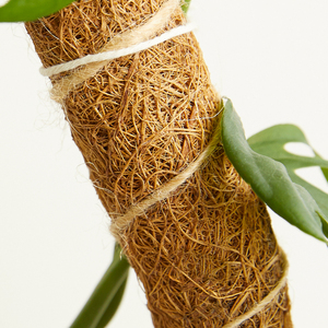 Piquets en fibre de coco de 16 pouces, écologiques, pliables et empilables, supports pour plantes avec tube en acier noir - Product Image 4