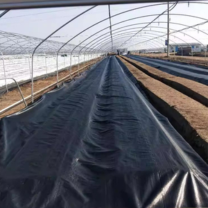 Malla Antihierbas de HDPE Tejida de Alta Densidad <span class=keywords><strong>CHAQ</strong></span>, Cubierta para Suelo de Jardín, Geotextil, Barrera Negra de 70-210 g/m² con Servicio de Corte - Product Image 5