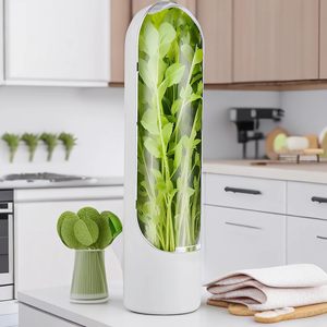 Conteneur de dosettes de fraîcheur économiseur <span class=keywords><strong>d</strong></span>'herbes réfrigérateur économiseur de légumes meilleur gardien coriandre menthe persil asperges saveur <span class=keywords><strong>d</strong></span>'herbes - Product Image 3