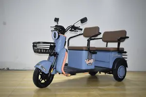 Rekabetçi fiyat Mini yetişkin elektrikli üç tekerlekli bisiklet elektrikli yolcu üç tekerlekli bisiklet