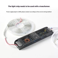 Lampu Strip LED 12V 24V Dual Row 240 LED Patch 2835 Lebar 10MM Tahan Air IP44 untuk Penggunaan Luar Ruangan dan Dalam Ruangan