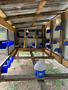 V Pigeon <b>Bird</b> Pet Roost <b>Bird</b> Equipment Racing Pigeon <b>Stand</b> Rest <b>Stand</b> Pigeon Perches Rest <b>Stand</b> - Product Image 2