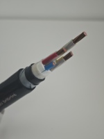 Câble d'alimentation blindé en acier isolé XLPE 0,6/1 kV 3+1 conducteurs en cuivre GB/T 12706