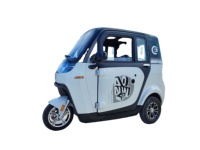 Scooter électrique fermé certifié CEE à 3 roues pour 3 passagers, freins à disque avant et arrière, vitesse 30-50 km/h, autonomie 70-90 km