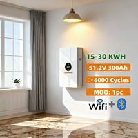 Batterie Lifepo4 murale tout-en-un 48V 10kwh 15kwh 20kwh pour stockage d'énergie domestique avec onduleur intégré