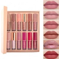HANDAIYAN Ensemble de rouge à lèvres liquide cosmétique de maquillage personnalisé 12 couleurs Brillant à lèvres antiadhésif Étanche et échantillon de taille