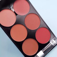 Palette de fards à joues 6 couleurs en gros, fini mat naturel, maquillage longue tenue, waterproof, pigmenté, cosmétique pour le visage