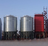 Silo verticale del grano di stoccaggio della risaia del riso 50 m3 da vendere