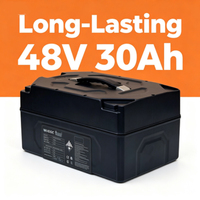 Penjualan Langsung Pabrik Paket Baterai LiFePO4 48V 30Ah untuk Kendaraan Listrik 2-Roda/3-Roda, Baterai Lithium Iron Phosphate Bebas Perawatan