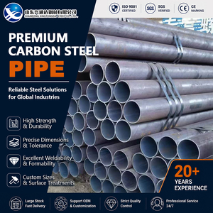 ท่อเหล็กคาร์บอน A283 Gr.C S355JR S235JR ขนาด 219.1 มม. หนา 10 มม. Sch40 EN 10216-1  แบบเคลือบพื้นผิว สำหรับการผลิตหม้อไอน้ำ - Product Image 1