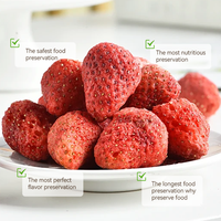 Airwoods 4kg Fruit Vriesdroogmachine 4 Trays Kleine Mini Vacuüm Huishoudelijke Vriesdroogapparatuur voor Fruit en Voedsel