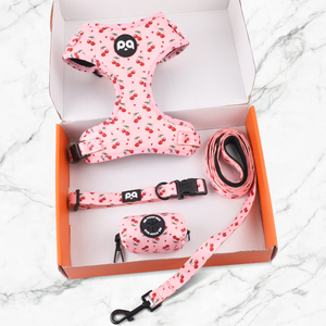 Arnés ajustable para mascotas de alta calidad al mejor precio, diseño personalizado con acolchado duradero de nailon, neopreno y poliéster para perros - Product Image 3