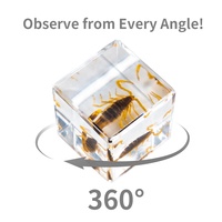 Cube en cristal époxyde de résine 4*4*4cm vraie araignée avec le vrai insecte de Web dans la résine de spécimen de résine bloque des ressources pédagogiques de presse-papiers