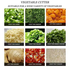 Macchina Elettrica Commerciale per Triturare Verdure, Patate, Frutta e Cereali per Impianti di Lavorazione Vegetale, Facile <span class=keywords><strong>da</strong></span> Usare - Product Image 3