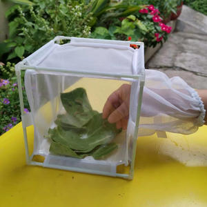 Böcek besleme ve kuluçka kafesi böcek yetiştirme ekran kafesi - Product Image 4