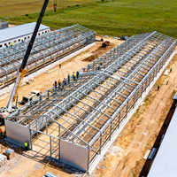 Granja Avícola Comercial a Gran Escala, Edificio Metálico Prefabricado, Estructura de Acero Prefabricada, Gallinero para 10000 Pollos