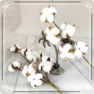 Vente en gros de fleurs artificielles en coton séché naturel pour bricolage d'intérieur, décor floral, fleurs en coton artificielles