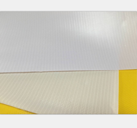 440gsm PVC Flex Rolls Tissé Publicité Bannière Matt Imprimé 1000*1000 18*18 Panaflex Rolls