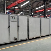Afrikaanse eenfasige 150kg volautomatische droger voor fruit, groenten, chilipeper, specerijen en voedsel