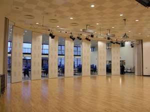 Pared Divisoria Acústica Móvil, Retráctil, Ajustable, Deslizante, Plegable, de Aluminio, para Gimnasio, Restaurante, Escuela, Comercial - Product Image 2