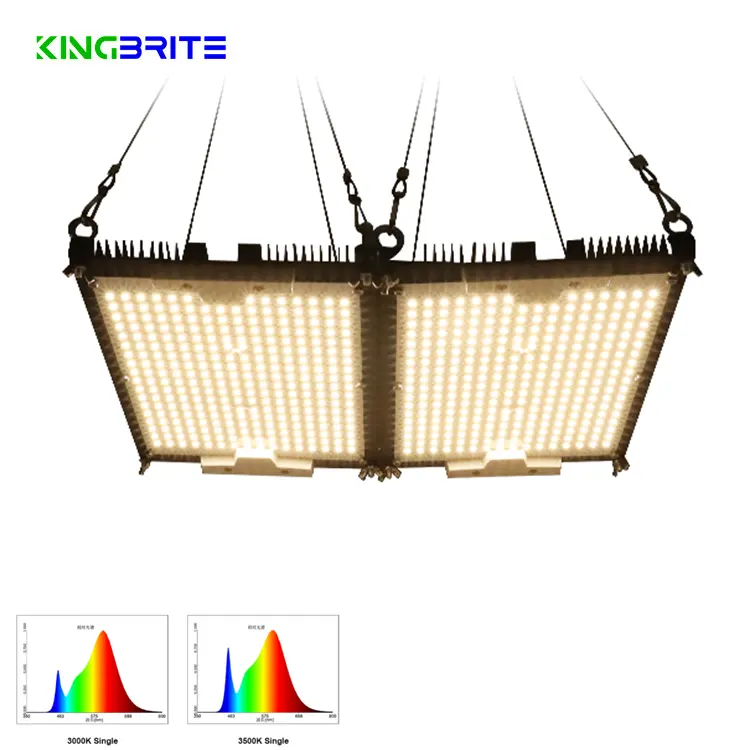 KingBrite LM301H 3000K 3500K 4000K สีขาวทั้งหมด240W ฮีทซิงค์คู่ LED เติบโตแสงโดย KingBrite