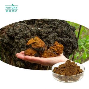 Bubuk ekstrak Cordyceps campuran Label pribadi suplemen bubuk Cordyceps ekstrak Jamur OEM bubuk Cordyceps - Product Image 1