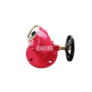 Vanne d'arrêt en laiton CHFIRE, type bec, à bride, vanne d'hydrant <span class=keywords><strong>incendie</strong></span>, 2,5 pouces, 3 pouces - Product Image 2