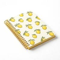 Planificateur inspirant personnalisé mensuel, hebdomadaire et quotidien, couverture en papier, carnet à spirales, organisateur de poche personnalisé, journal pour cadeau