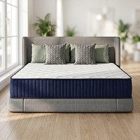 Matelas de luxe pour hôtel, résistant à l'humidité, haute densité, en boîte, tailles Twin, Simple, Queen, avec ressorts ensachés et mousse à mémoire de forme