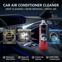 Limpiador de Aire Acondicionado Automotriz OEM en Aerosol, Espuma de Limpieza Profunda, Eliminador de Olores, Producto para el Cuidado y Mantenimiento del Interior del Automóvil