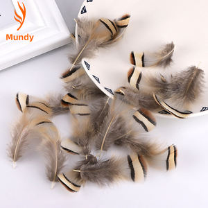 Plumas de Chukar Baratas al por Mayor de 2-4 Pulgadas para Manualidades, Bodas, Atrapasueños, Plumas de Ala Gris, Decoraciones de Carnaval y Navidad - Product Image 2