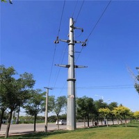 Ligne de transmission électrique autoportante Pylône en acier tubulaire Tour de mât monopolaire Tour de télécommunication Immersion à chaud galvanisée