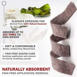 <span class=keywords><strong>Dressing</strong></span> Alginate Fiber dengan Ag <span class=keywords><strong>Advantage</strong></span> saus perak kalsium Alginate <span class=keywords><strong>Wound</strong></span> <span class=keywords><strong>Dressing</strong></span> - Product Image 3