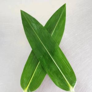 Venta al por mayor <span class=keywords><strong>de</strong></span> hojas <span class=keywords><strong>de</strong></span> bambú secas <span class=keywords><strong>de</strong></span> alta calidad productos <span class=keywords><strong>de</strong></span> hojas <span class=keywords><strong>de</strong></span> bambú para restaurante - Product Image 4