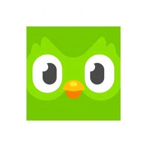 Cuenta Premium de Duolingo Pro, 1 Año, Aplicable Globalmente, Activa Tu Propia Cuenta - Product Image 4