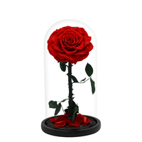 Bestseller Handwerkskunst Feine Verpackung Ewig Haltbare Blumen Boutique-Rosen Glasabdeckungen für Warme Weihnachten Abschlussfeier