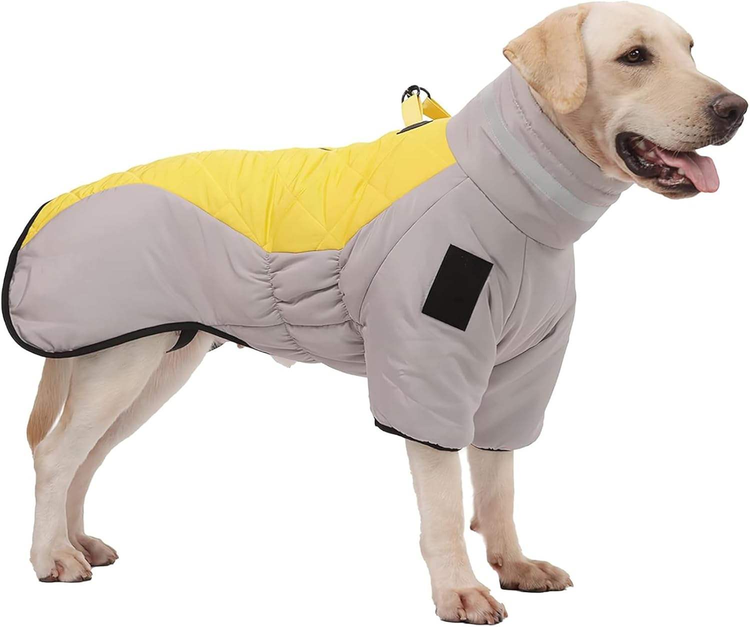 สีเทาสีเหลือง