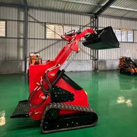 Mini-chargeuse compacte robuste sur roues ou sur chenilles, grande, moyenne, petite, pour la vente en gros