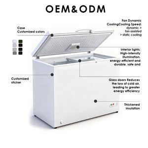 Congelador Horizontal <span class=keywords><strong>de</strong></span> Dos Puertas X-MING -25 Grados Celsius, Refrigeración Comercial, Congelador Comercial <span class=keywords><strong>de</strong></span> Uso <span class=keywords><strong>General</strong></span> - Product Image 2