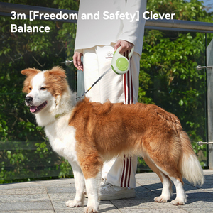 <span class=keywords><strong>Laisse</strong></span> automatique de luxe pour chien, pour la promenade en extérieur, rétractable, logo personnalisé, <span class=keywords><strong>laisse</strong></span> réglable pour <span class=keywords><strong>chat</strong></span> - Product Image 3