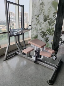 Professionelles Bodybuilding-Fitnessgerät Kommerzielle Plattenbeladene Rückkickmaschine Speziell für Rückkickübungen - Product Image 3