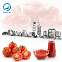 Productielijn voor OCEAN tomatensaus, kleine ketchupfabriek, machine voor het maken van tomatenpuree
