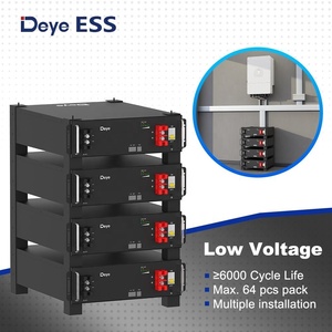100Ah Deye新到货SE-G5.1锂离子电池，用于太阳能储能系统51.2V 100Ah 200Ah Deye 5.12kwh磷酸铁锂 - Product Image 2