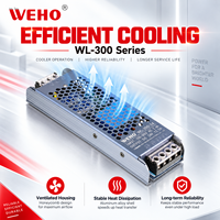 WEHO 300W Driver LED Compact 12V 25A 24V 12.5A Alimentation AC-DC pour Éclairage Architectural Linéaire