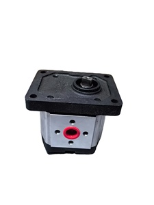 Piezas y componentes de equipos de ingeniería agrícola, bomba de engranajes C901-F310-005 - Product Image 4