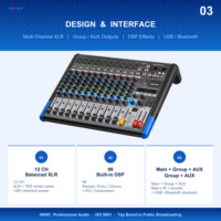HKNC HK-GI2012 Console de mixage 12 canaux DSP BT USB 48V Phantom pour scène, sonorisation en direct, conférence, auditorium