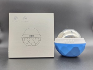 ลูกบอลนวดเย็นน้ำแข็งสแตนเลส,ลูกบอลลูกกลิ้งนวดบำบัดกล้ามเนื้อผ่อนคลาย - Product Image 4