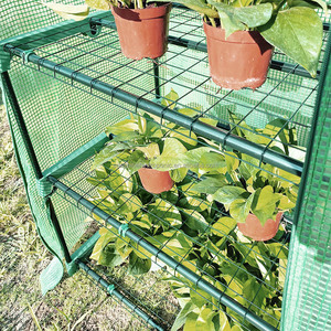 Mini invernadero de Interior para uso doméstico, invernadero de 4 niveles para plantas de jardín de plástico con estante - Product Image 4